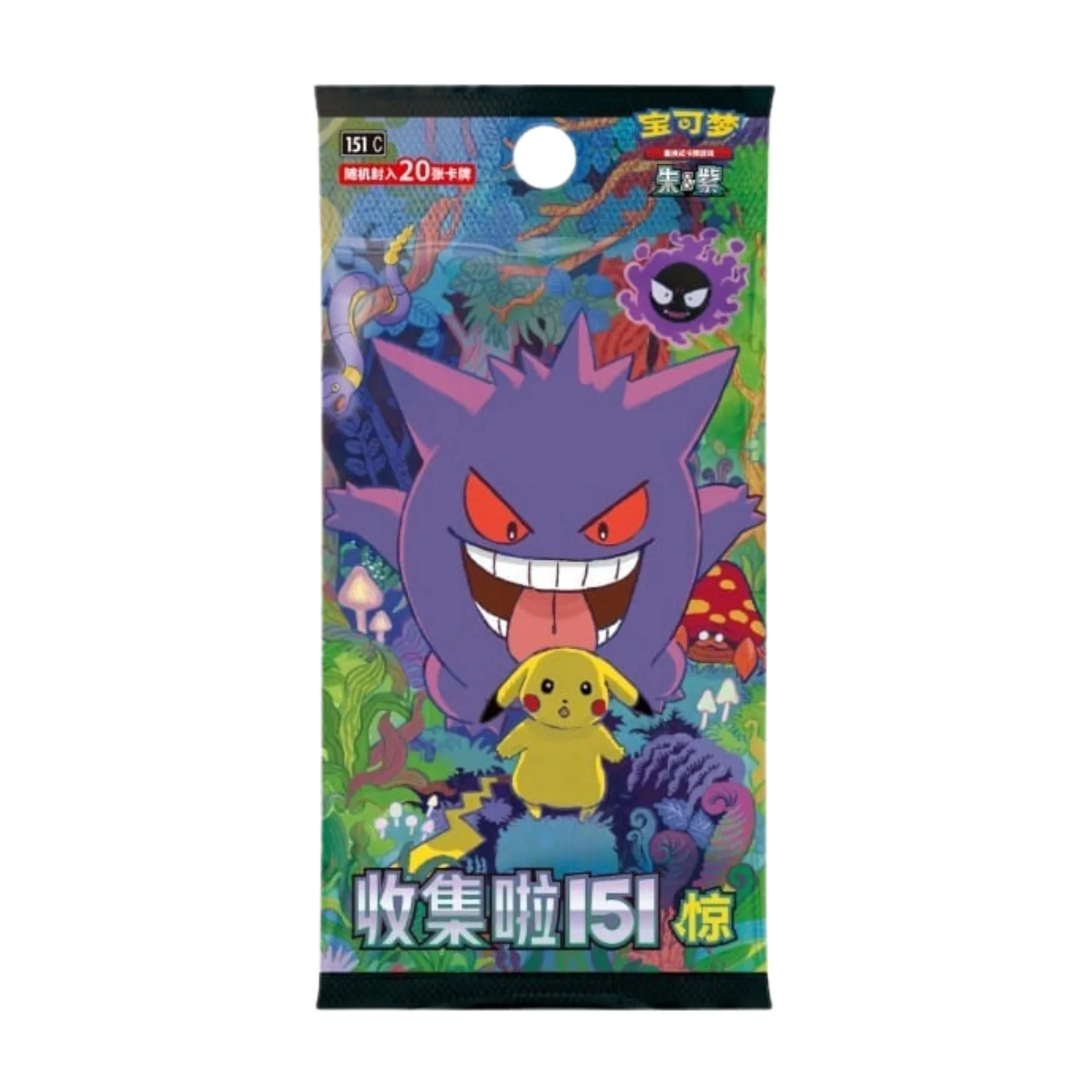 151 First Partner Gift Box: Squirtle detail image 4